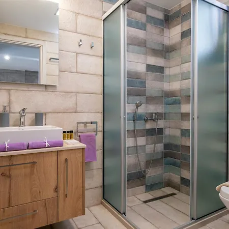 Artemis A&b فيلة